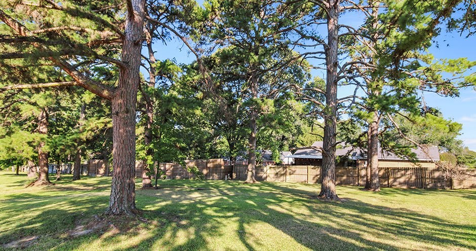 The Gallery Edinburgh | Tyler, TX